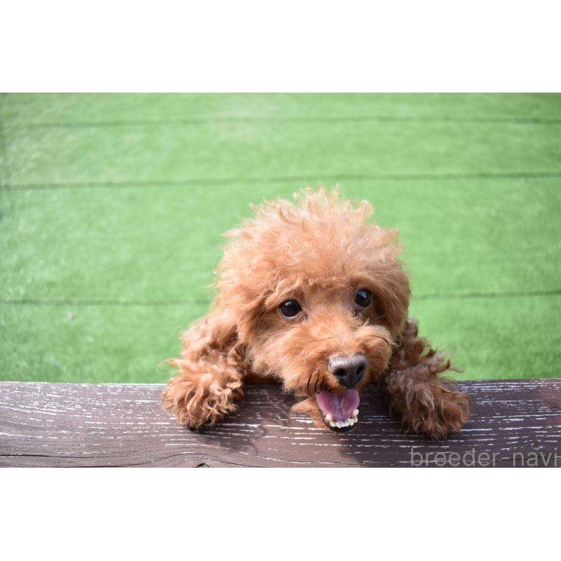 ななみちゃん1枚目