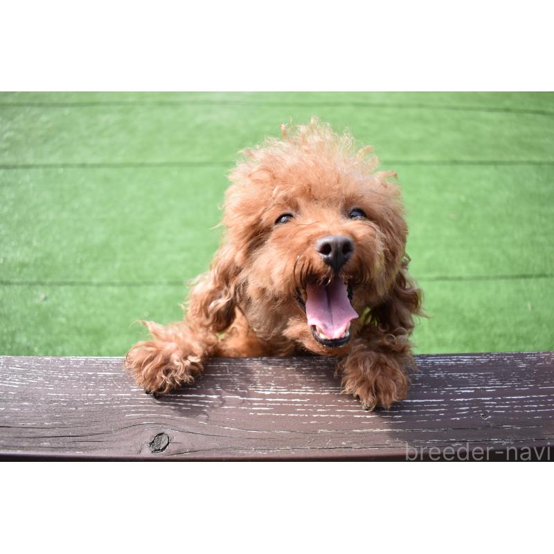 ななみちゃん1枚目