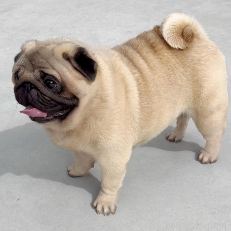 はまぐりくん1枚目