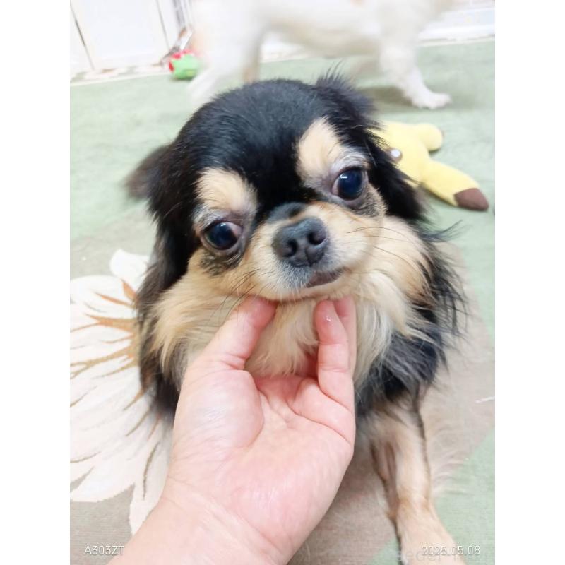 アイラくん1枚目