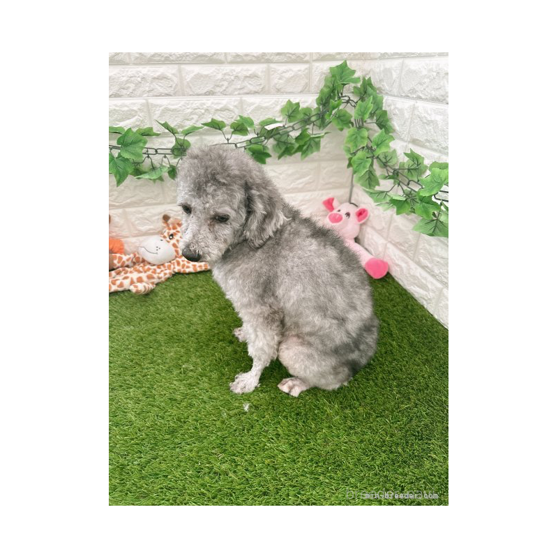 だいずくん1枚目