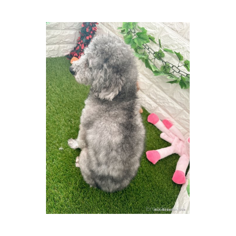 だいずくん1枚目