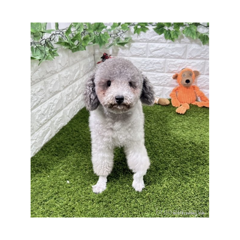 もかちゃん1枚目