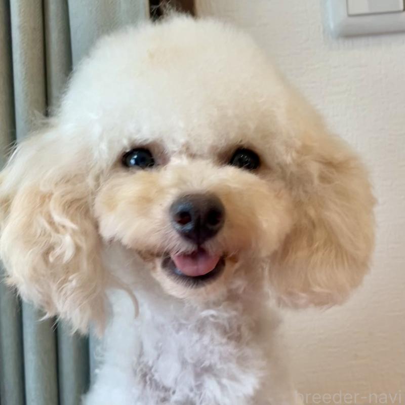 つきちゃん1枚目