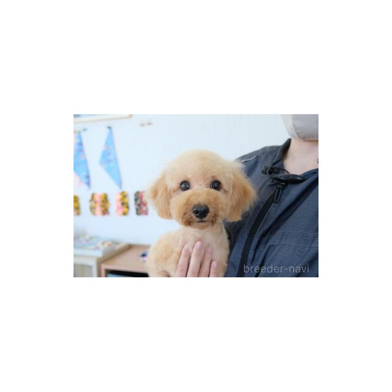 ちあきちゃん1枚目