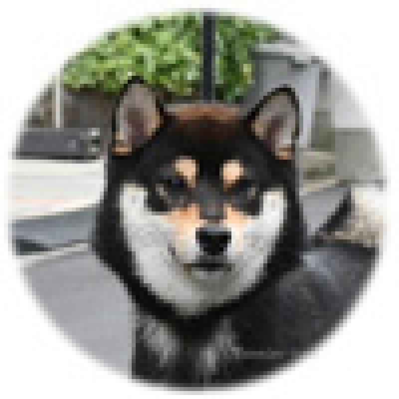 そ~くんくん1枚目