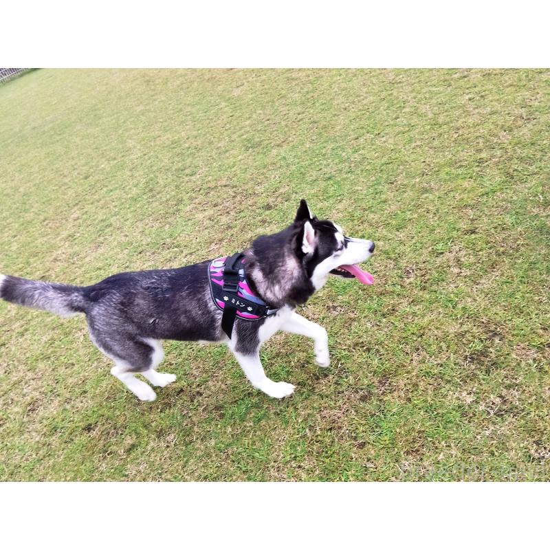 ミトンちゃん1枚目