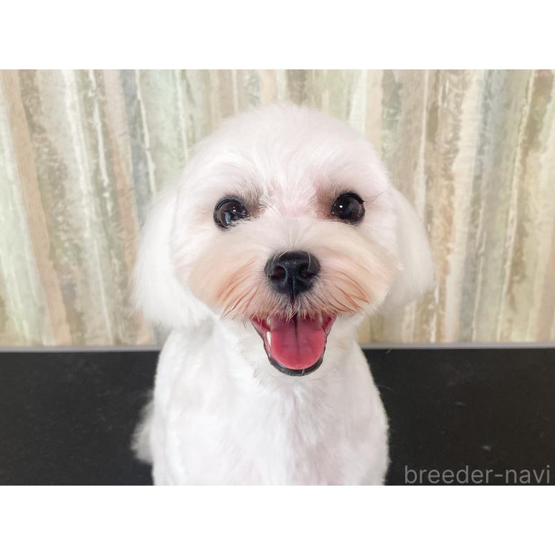 ポロンちゃん1枚目