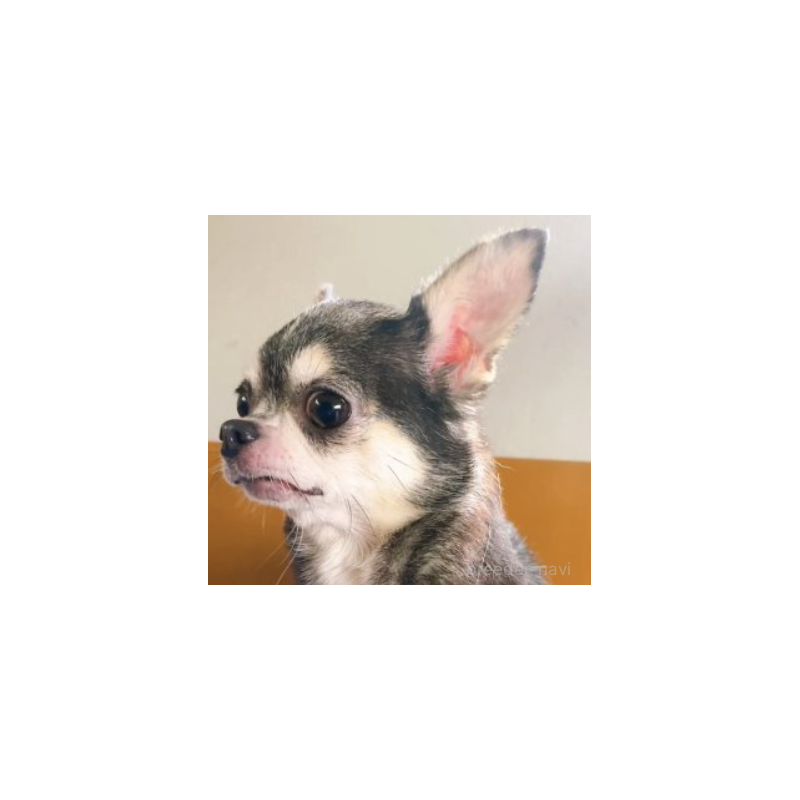 りょうちゃん1枚目