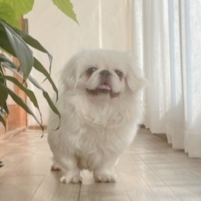 幸ちゃん1枚目