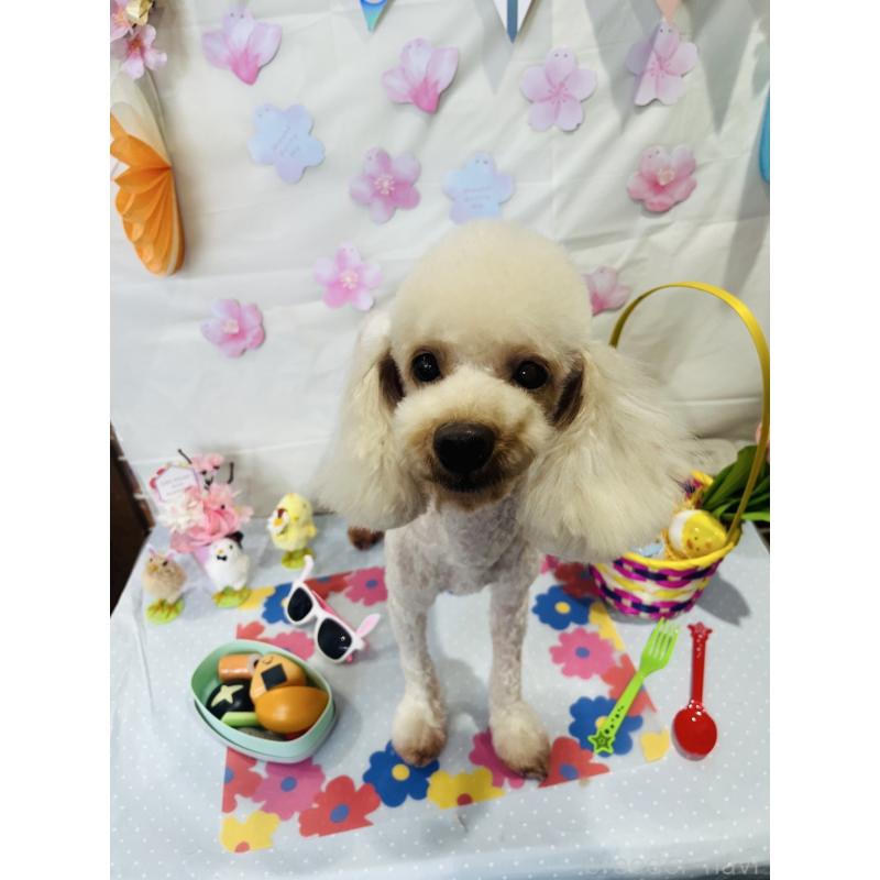 ミドリちゃんちゃん1枚目