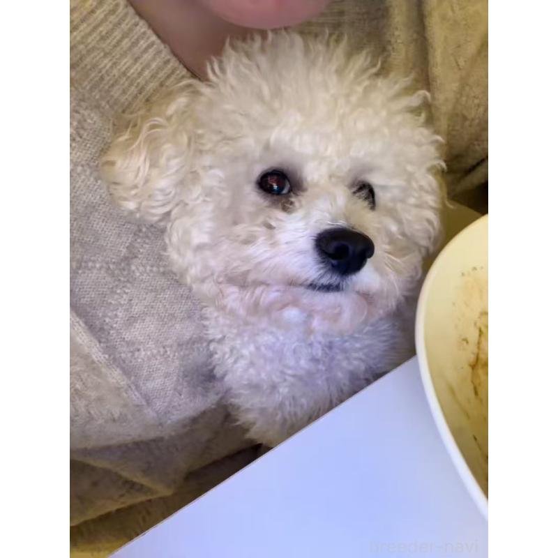 Faminaくん1枚目