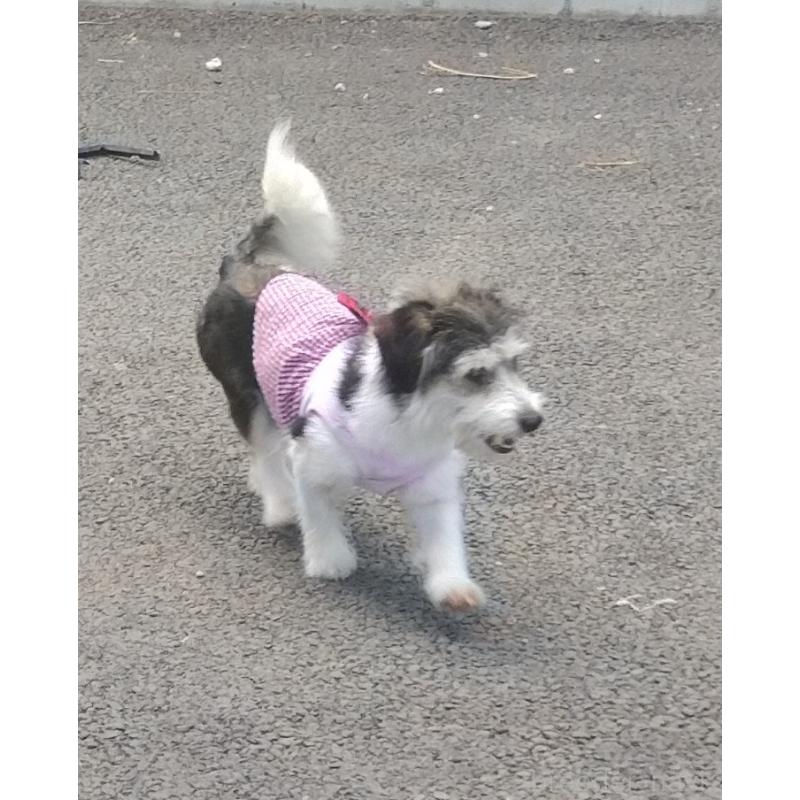 もなかちゃん1枚目