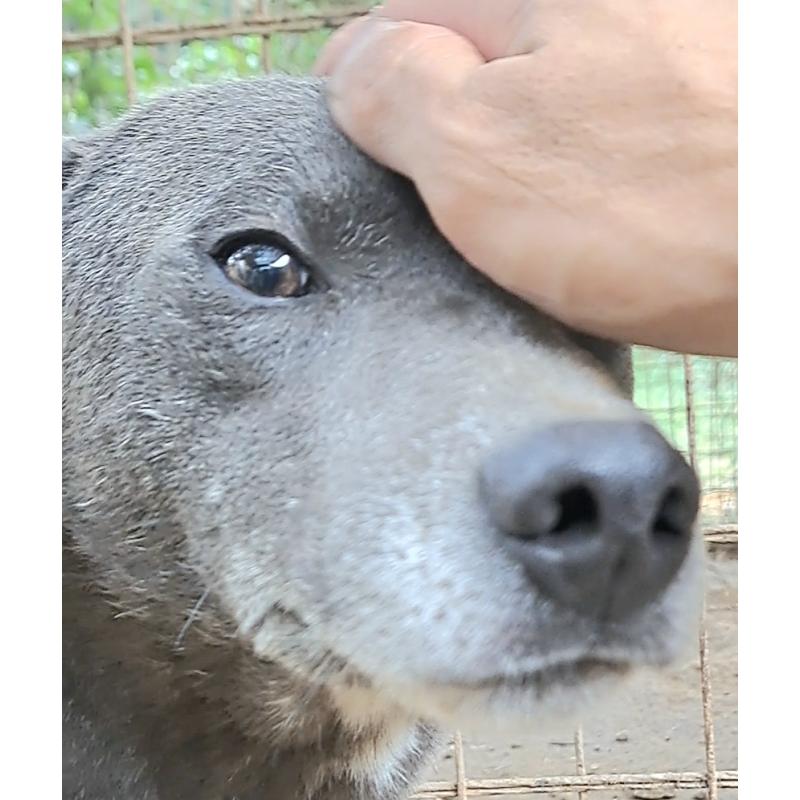 ブルイくん1枚目