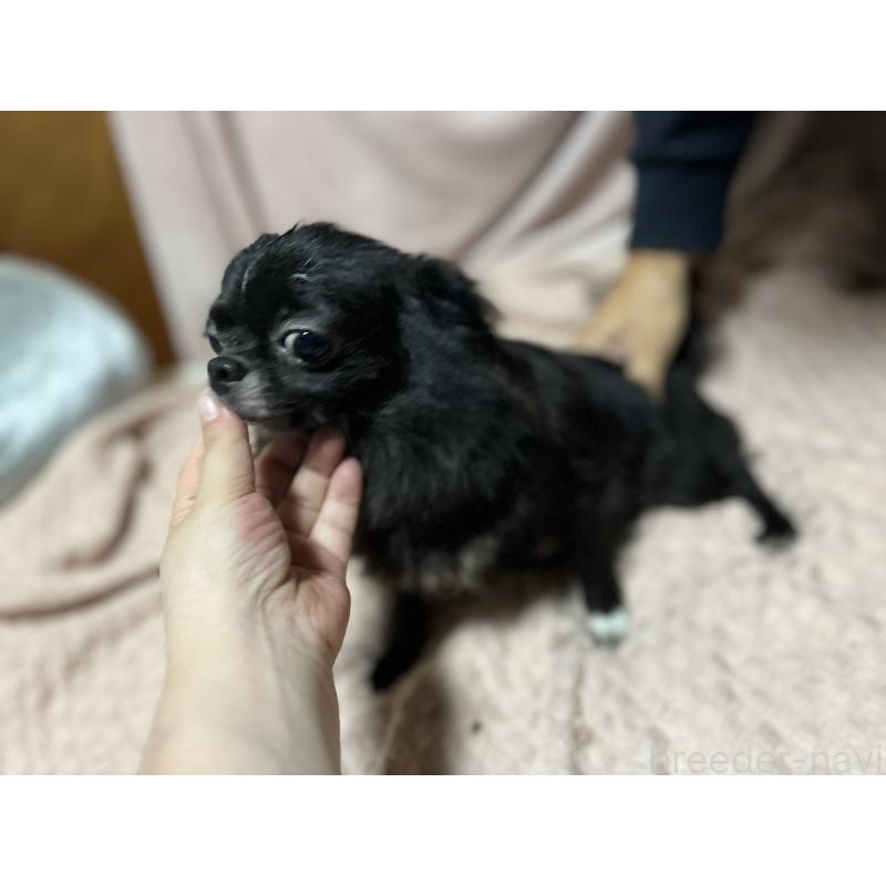 ちゃん1枚目