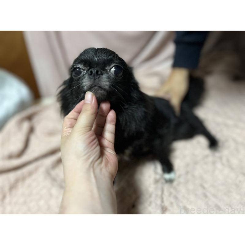ちゃん1枚目
