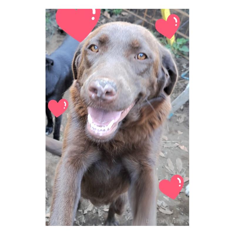 ウォルちゃん1枚目