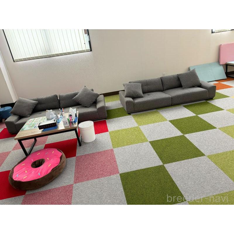 販売中の栃木県のポメプー:ポメラニアン×トイプードル-422697の15枚目