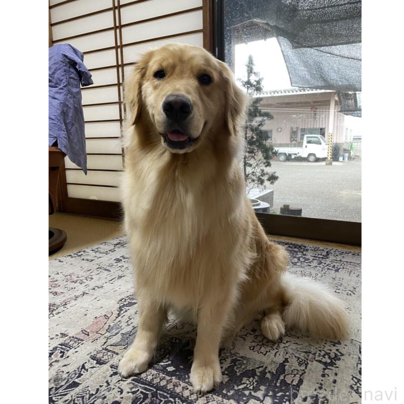 スズちゃん1枚目