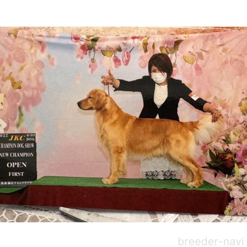 バンクくん1枚目