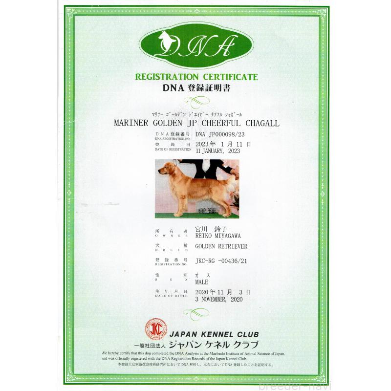 バンクくん1枚目