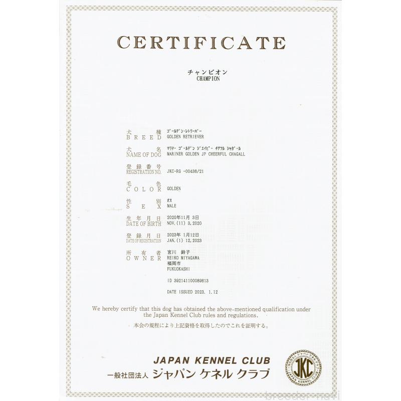 バンクくん1枚目