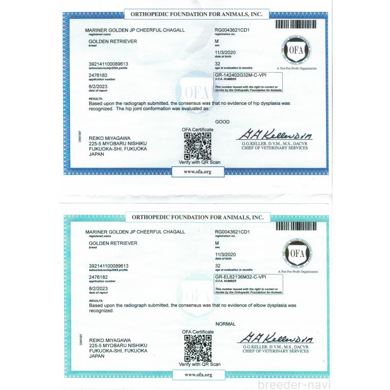 バンクくん1枚目