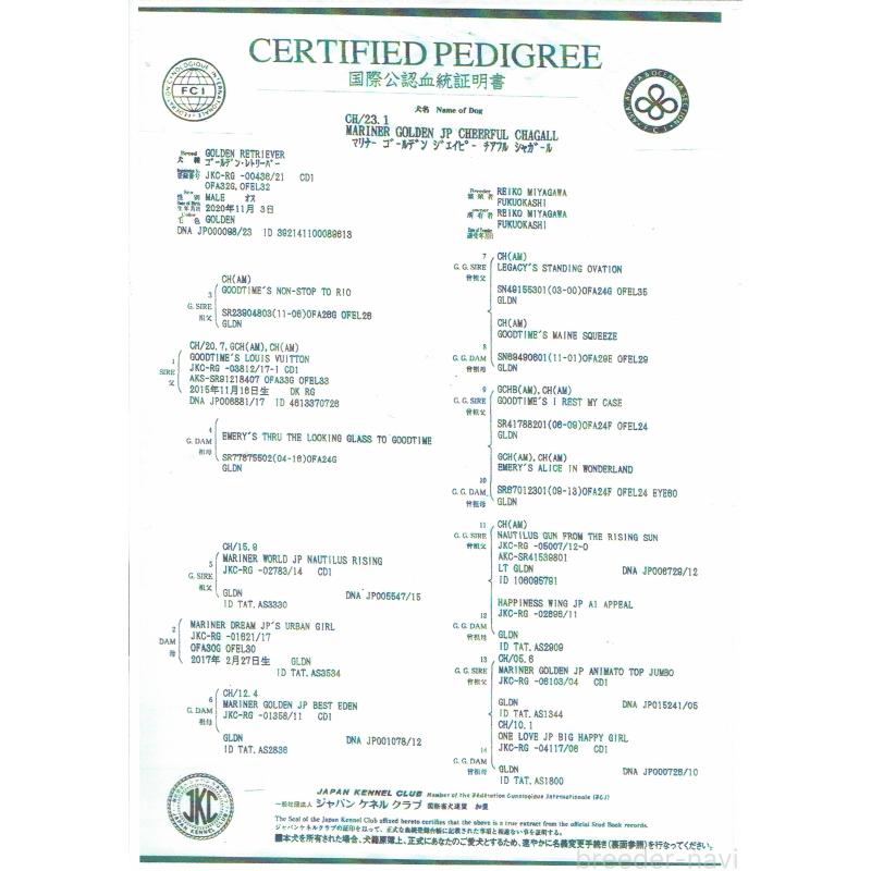 バンクくん1枚目