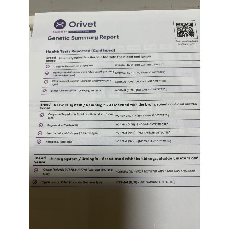 リュームくん1枚目