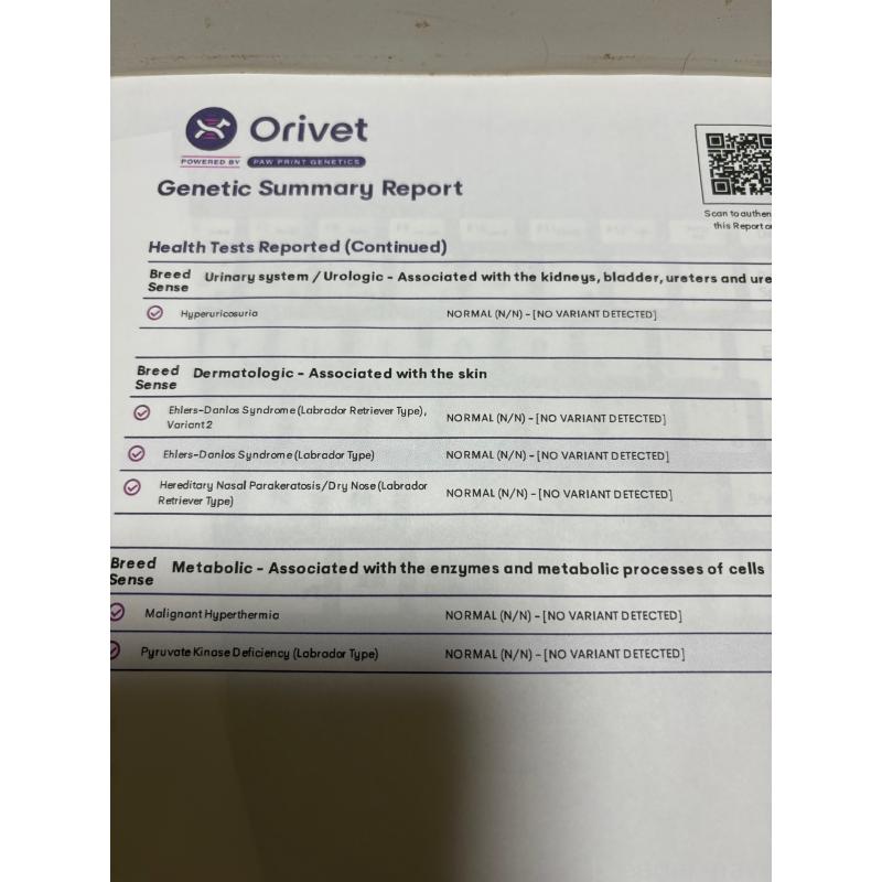 リュームくん1枚目