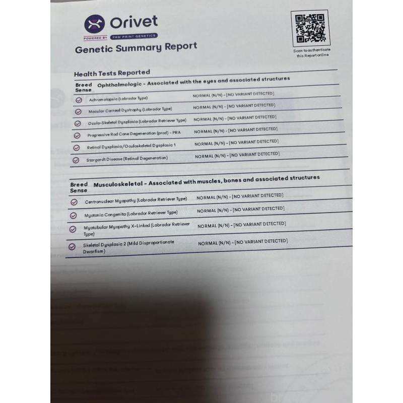 リュームくん1枚目