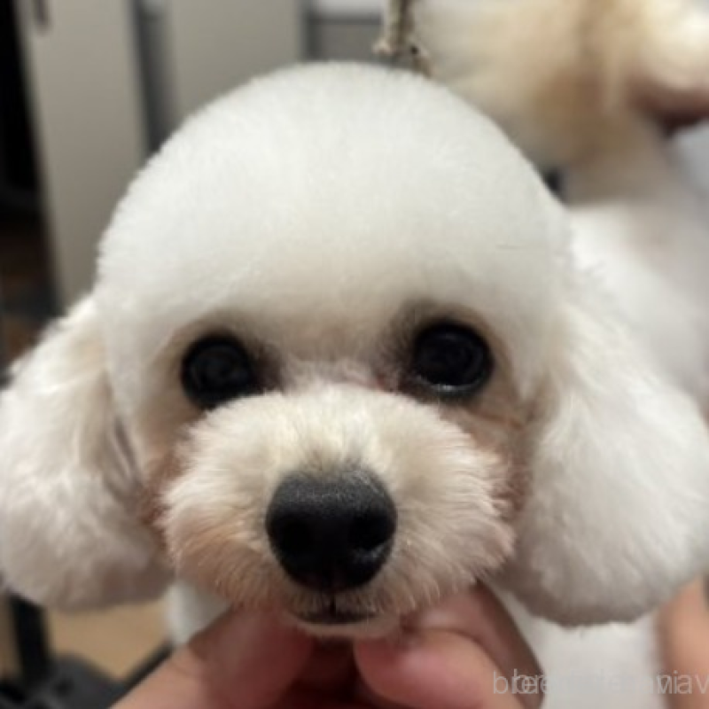 つぐむちゃん1枚目