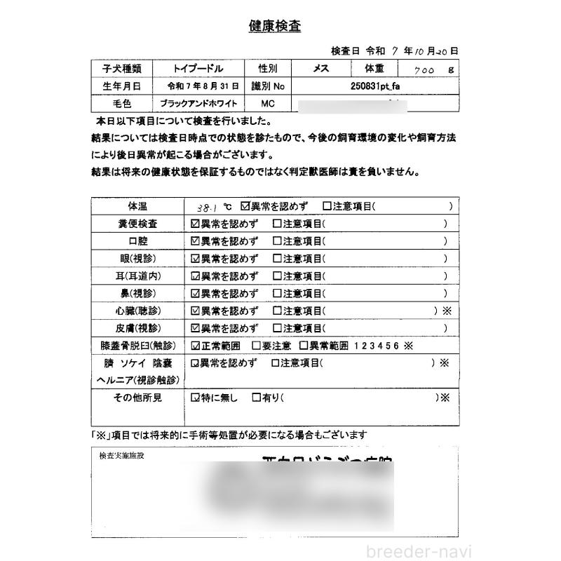 販売中の京都府のトイプードル-415536の2枚目