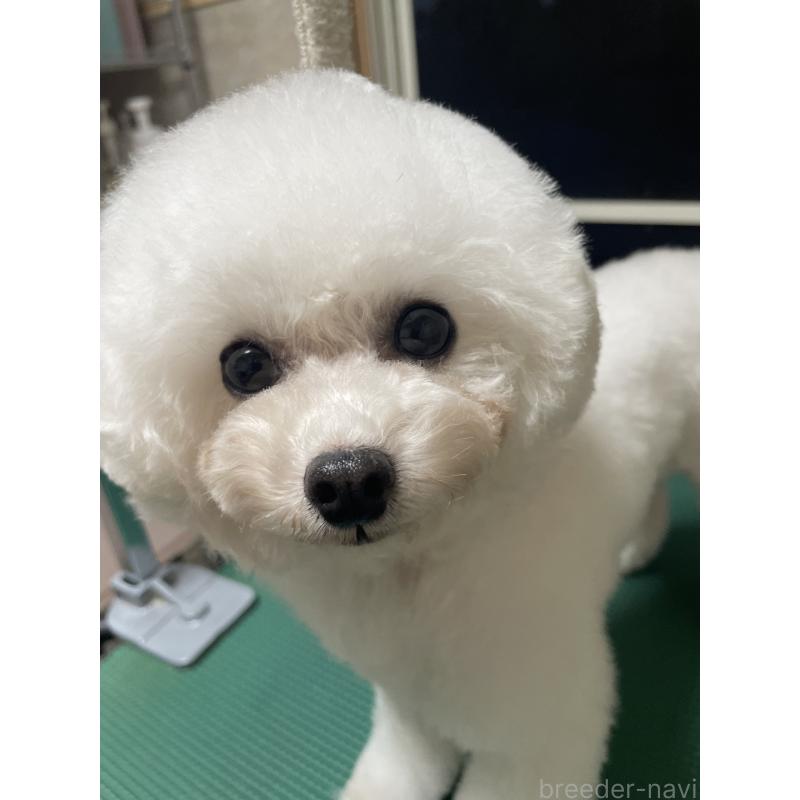 ちゃん1枚目