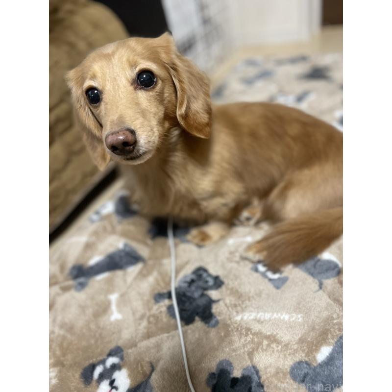 金太郎くん1枚目