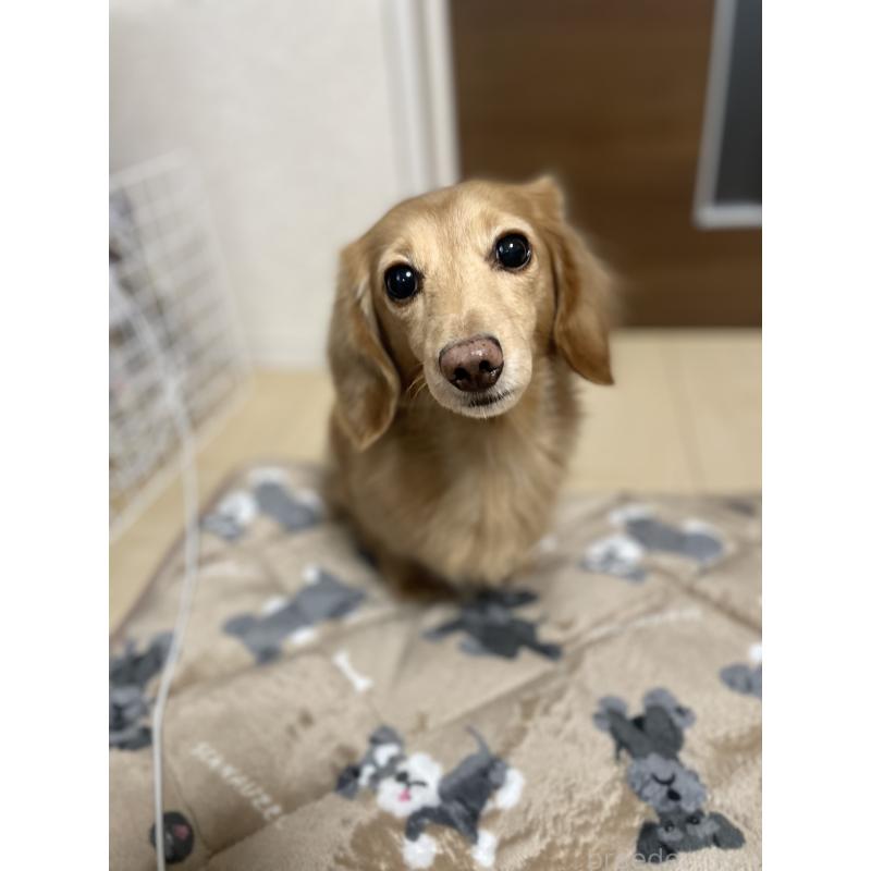 金太郎くん1枚目