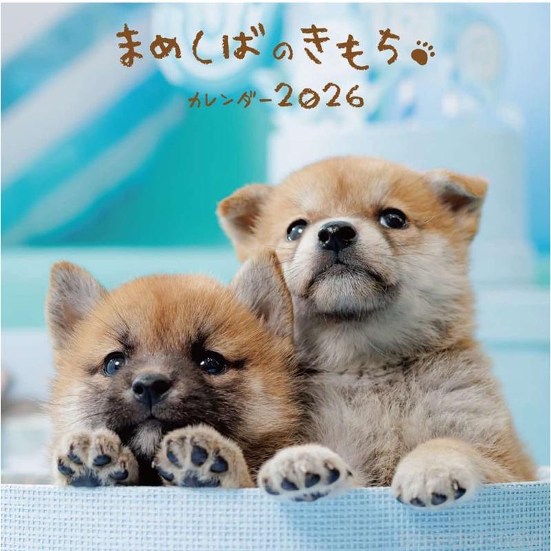 販売中の千葉県の豆柴-411806の2枚目