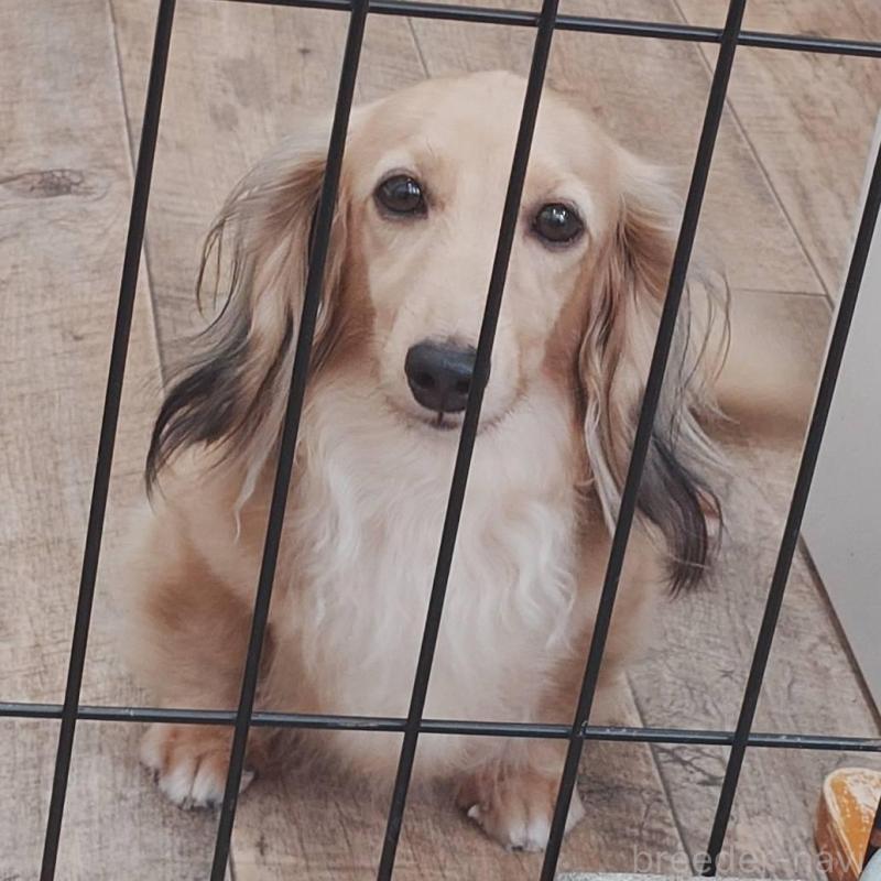 アメちゃん1枚目