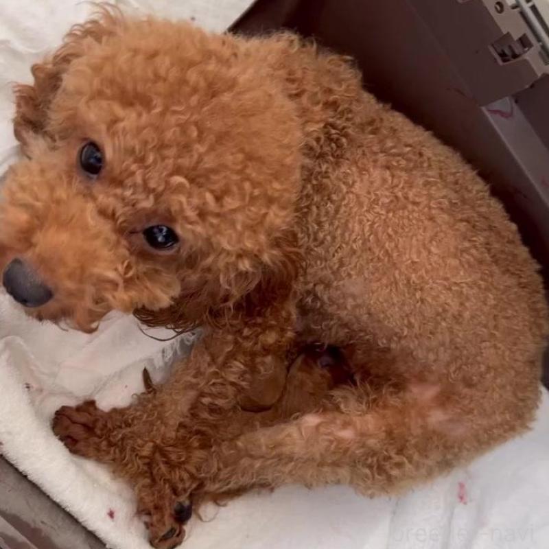 リコちゃん1枚目