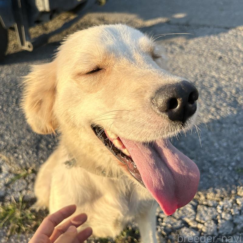 りんりんちゃん1枚目