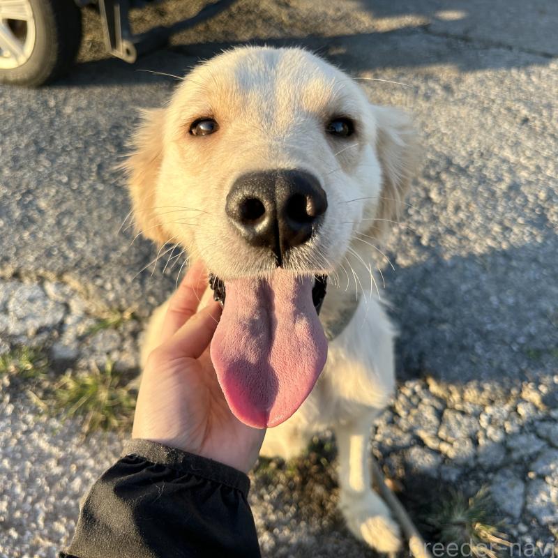 りんりんちゃん1枚目