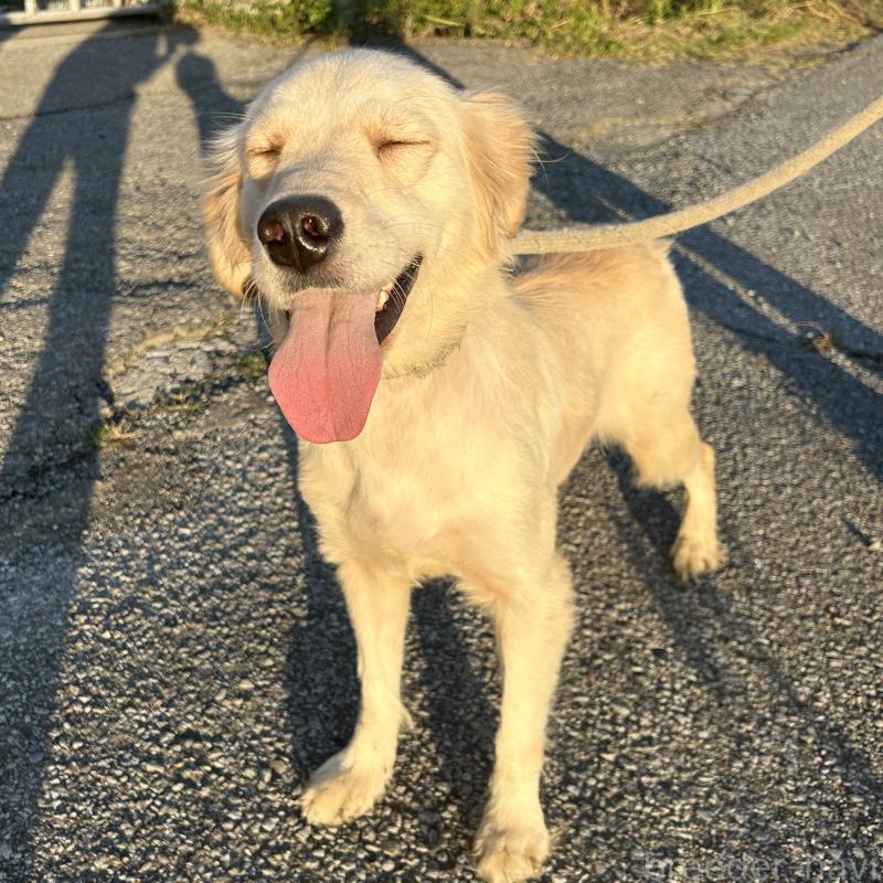 りんりんちゃん1枚目