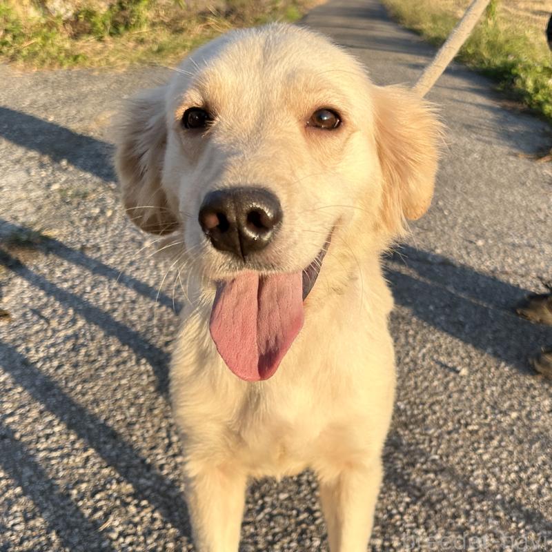 りんりんちゃん1枚目