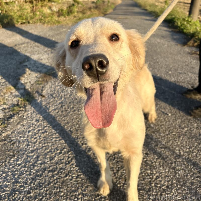 りんりんちゃん1枚目