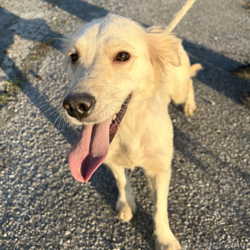 りんりんちゃん1枚目