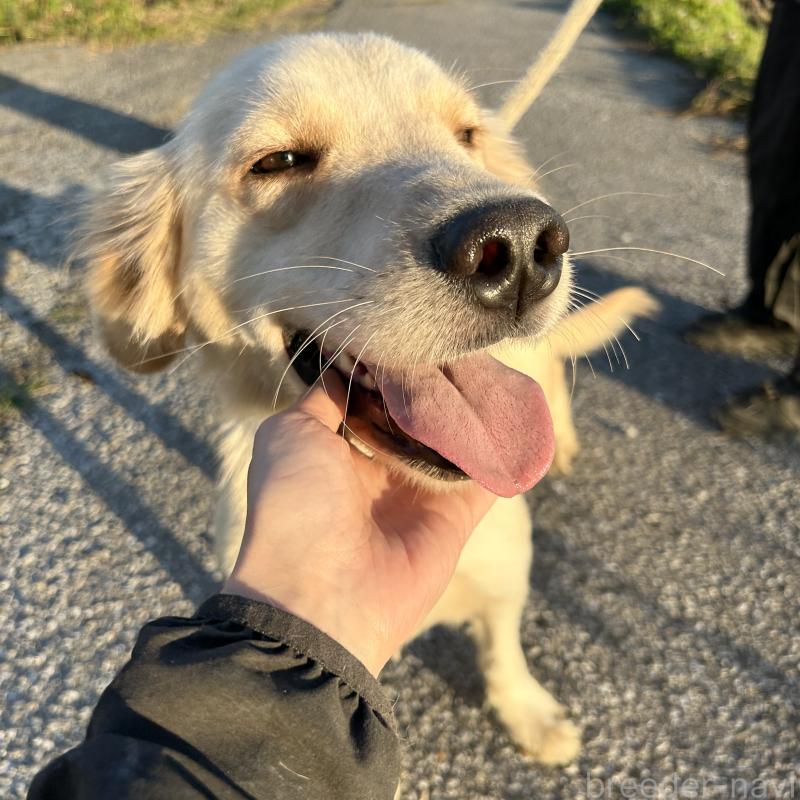 りんりんちゃん1枚目