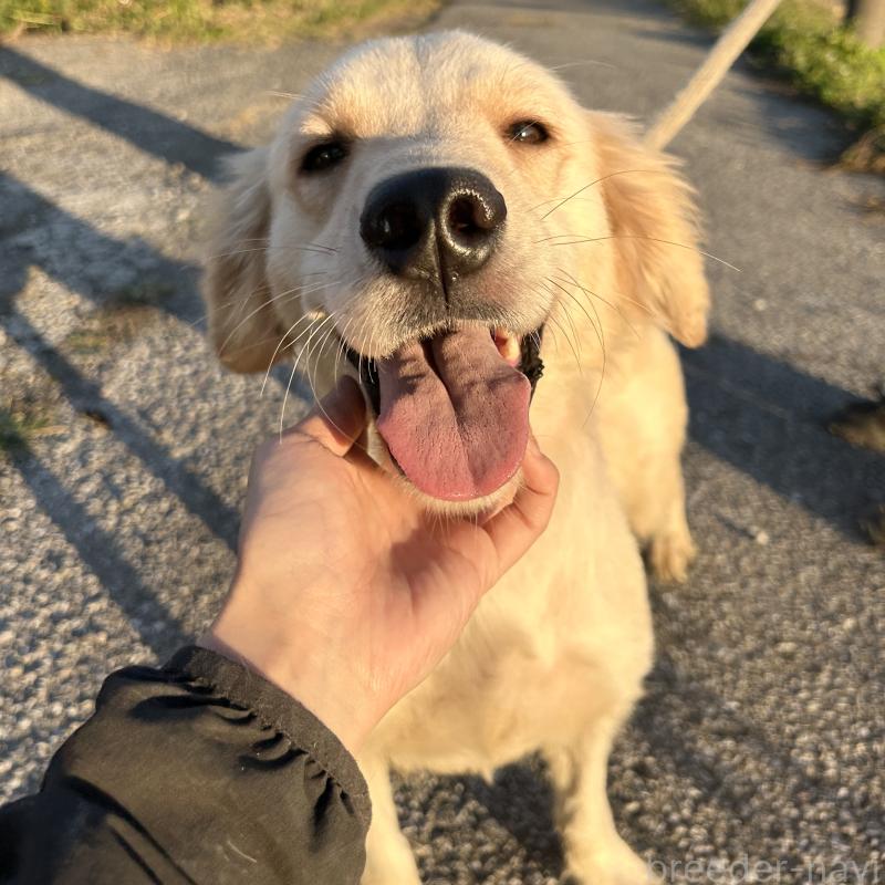 りんりんちゃん1枚目