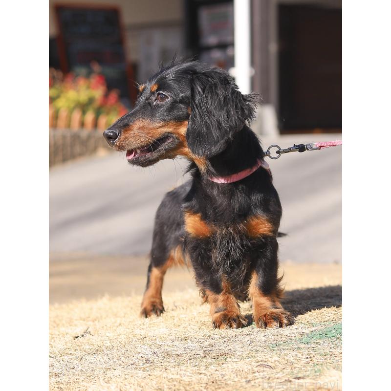 ひふみちゃん1枚目