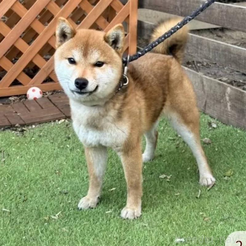 ちよまるくん1枚目