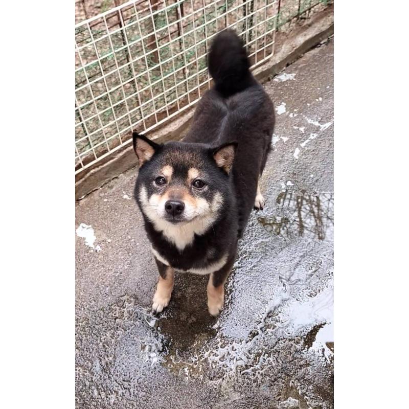 ライムちゃん1枚目